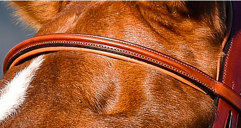 Amerigo Jumping Bridle Browband